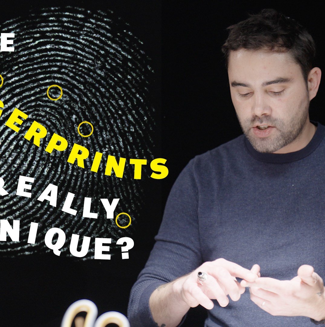 Are your fingerprints really unique?