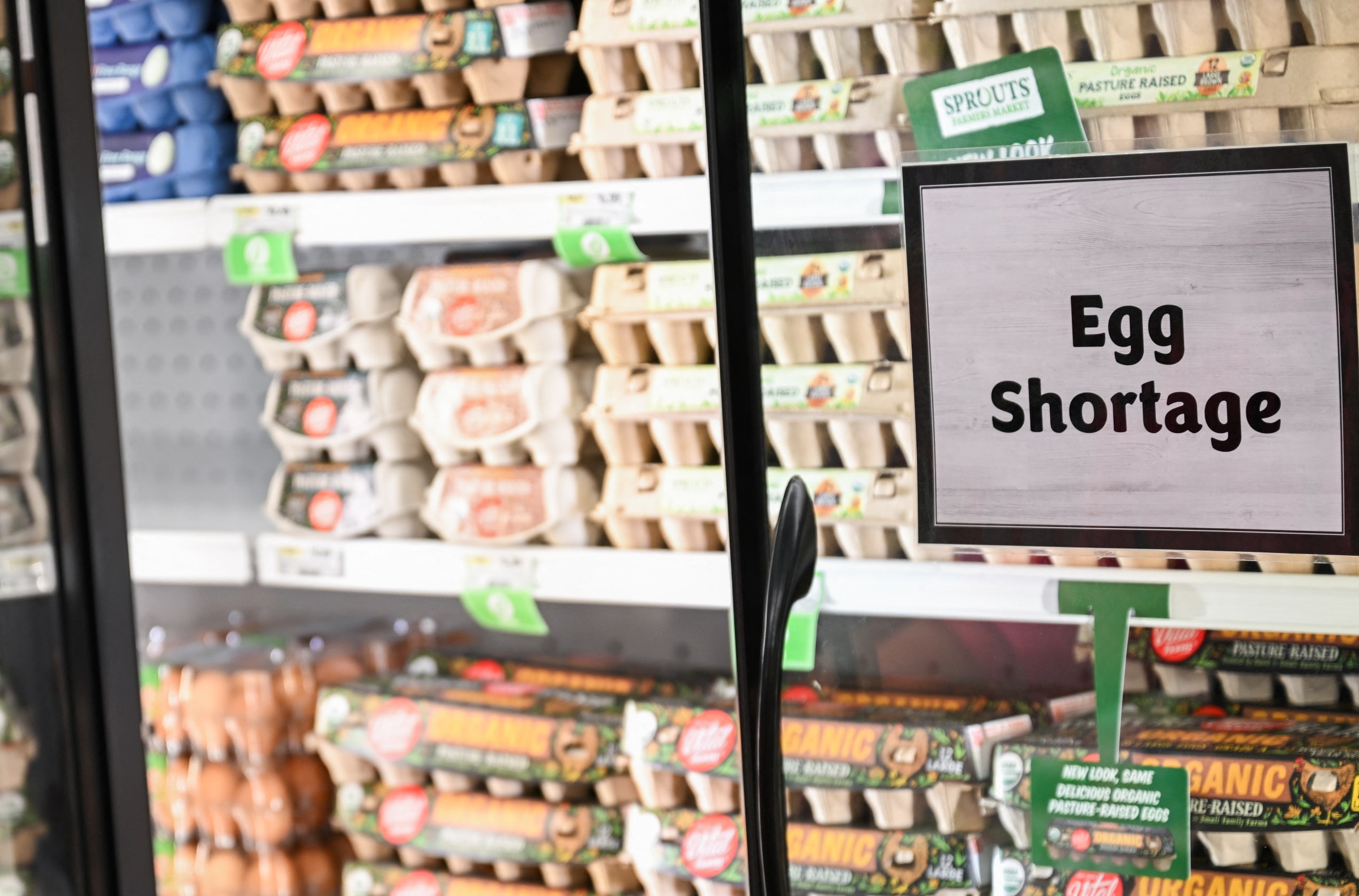 Eggs are pricey again. What’s the government doing about it?