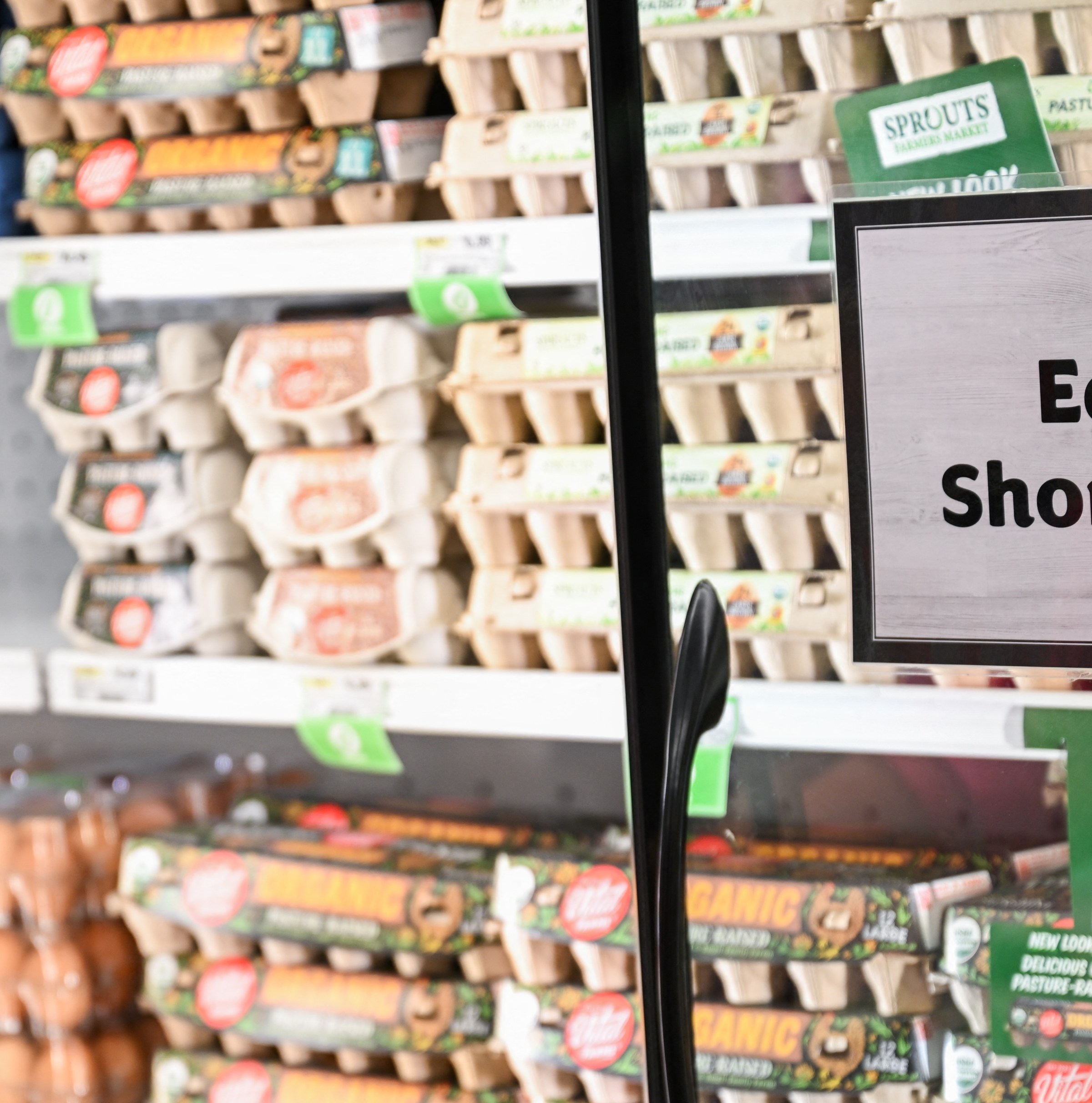 Eggs are pricey again. What’s the government doing about it?
