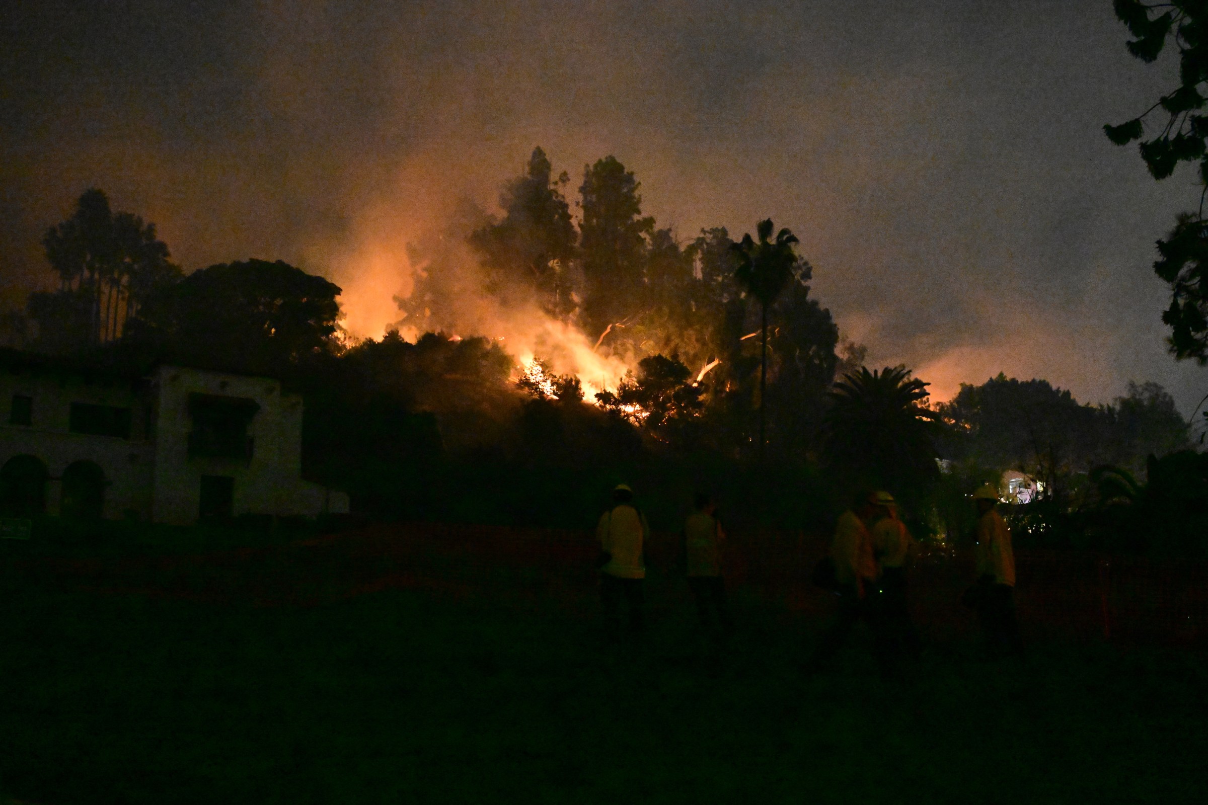 What happens when a wildfire reaches a city?