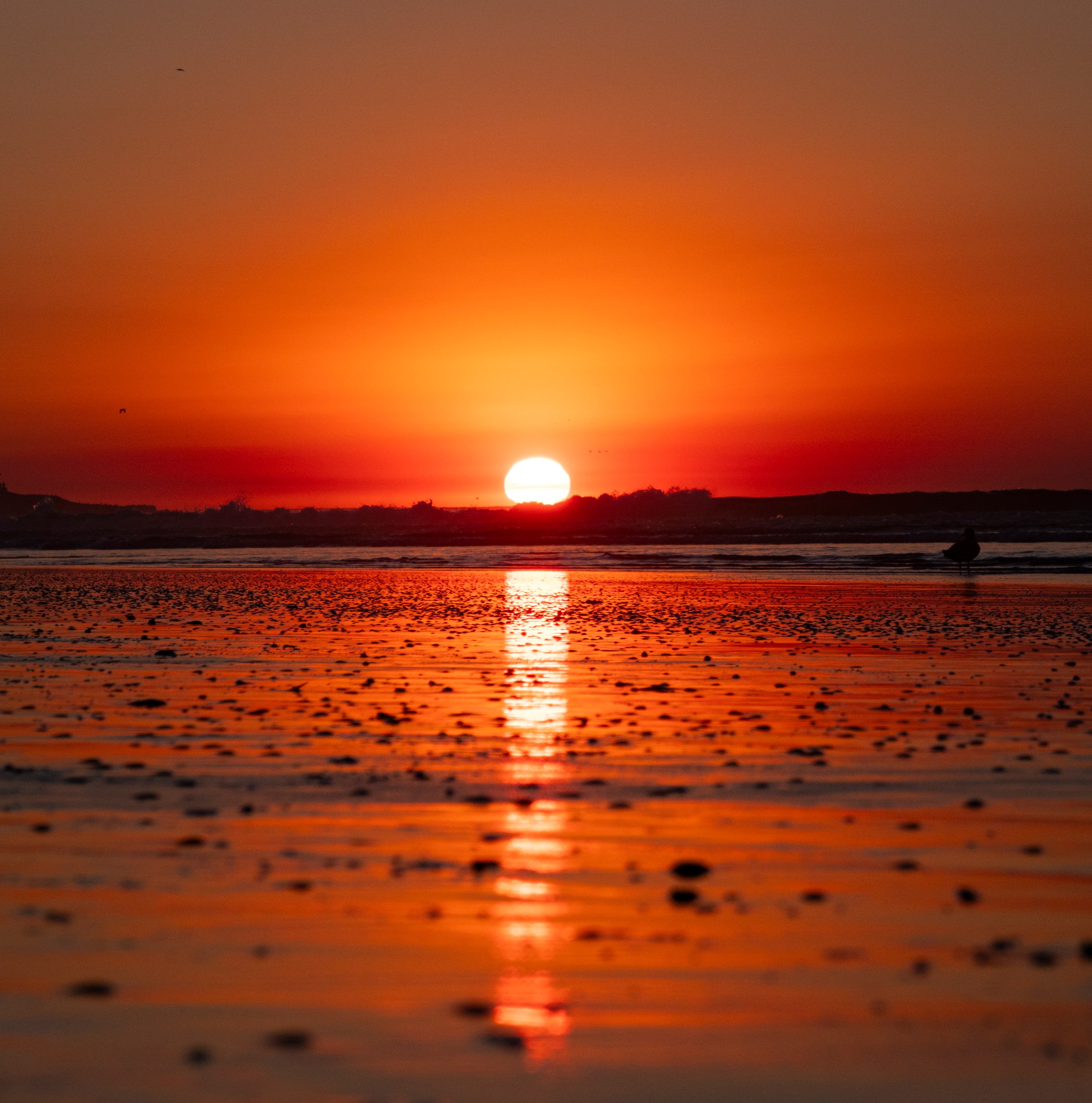 Why the US is freezing as the planet reaches record warmth