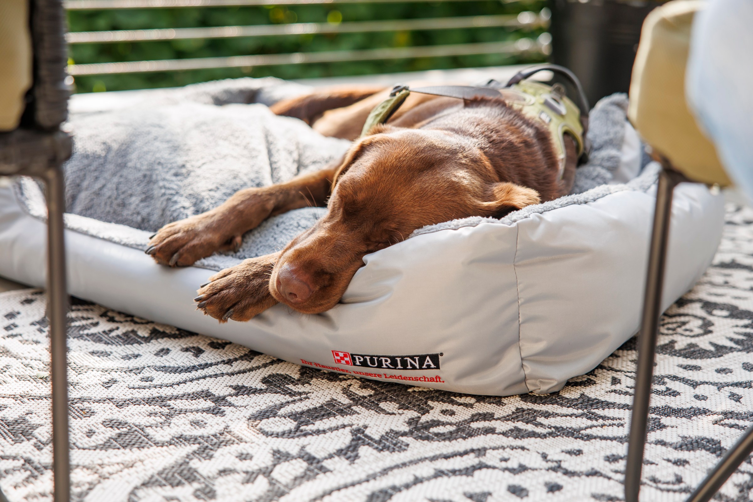 Why do we twitch in our sleep?